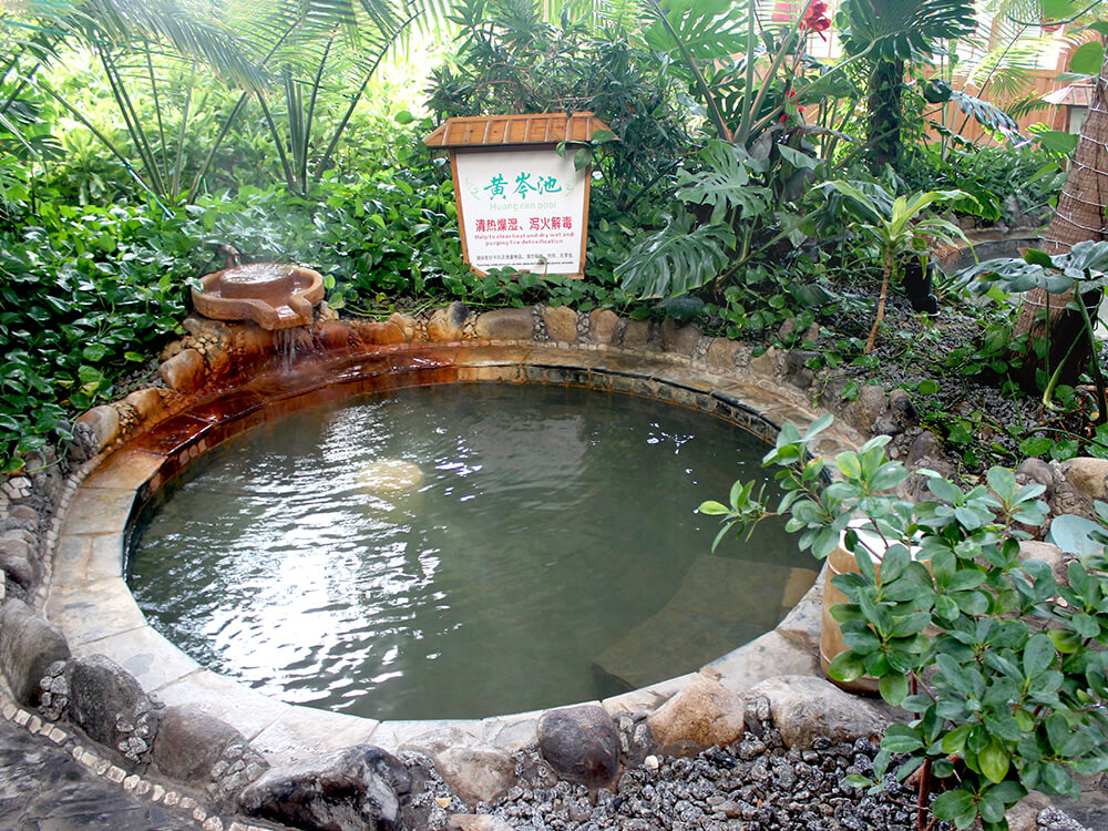 黃岑泉
