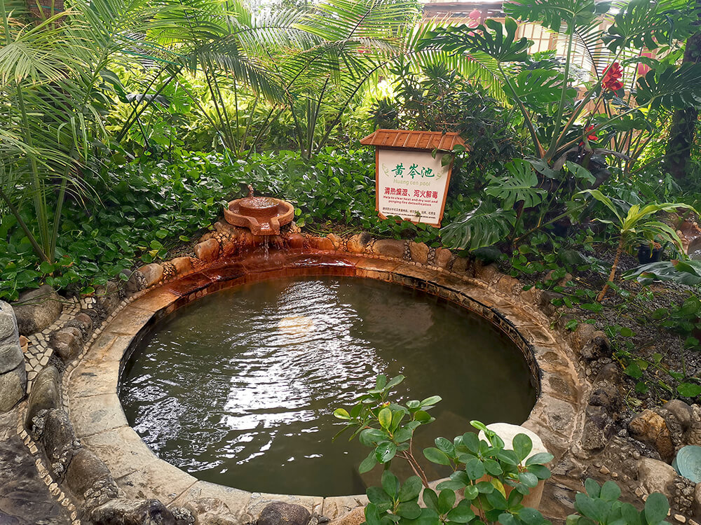 黃岑泉